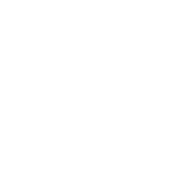 ce logo Loveland