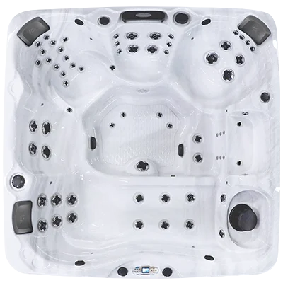 Avalon EC-867L hot tubs for sale in Loveland